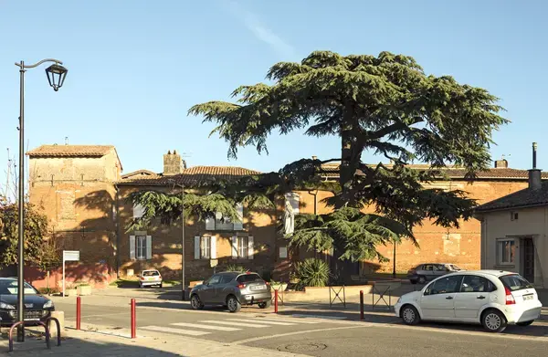 Achat Monte Escalier Monte escalier Aussonne