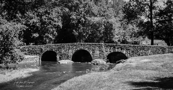 Achat Monte Escalier Monte escalier Azay-le-Brûlé