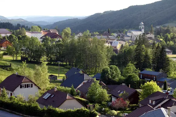Achat Monte Escalier Monte escalier Bellefontaine