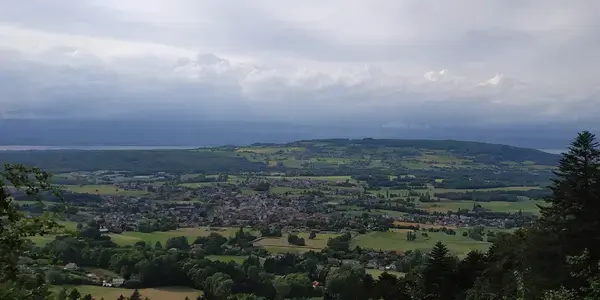 Achat Monte Escalier Monte escalier Bons-en-Chablais