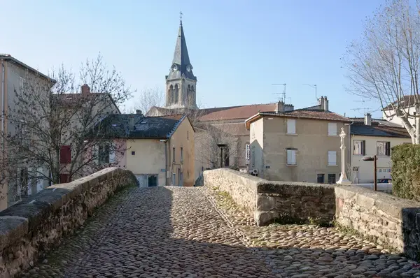 Achat Monte Escalier Monte escalier Brignais
