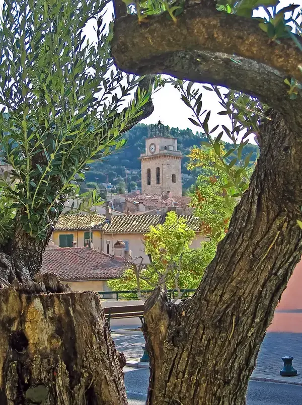 Achat Monte Escalier Monte escalier Ceyreste