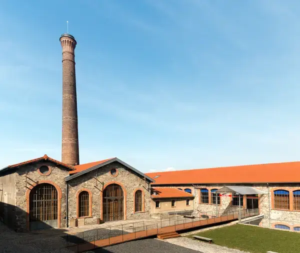 Achat Monte Escalier Monte escalier Chazelles-sur-Lyon