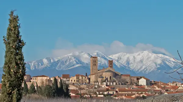 Achat Monte Escalier Monte escalier Elne