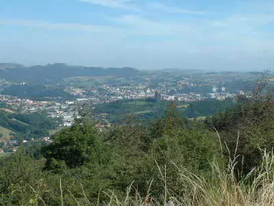 Achat Monte Escalier Monte escalier Firminy