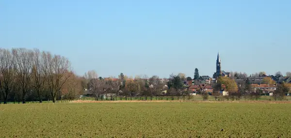 Achat Monte Escalier Monte escalier Halluin