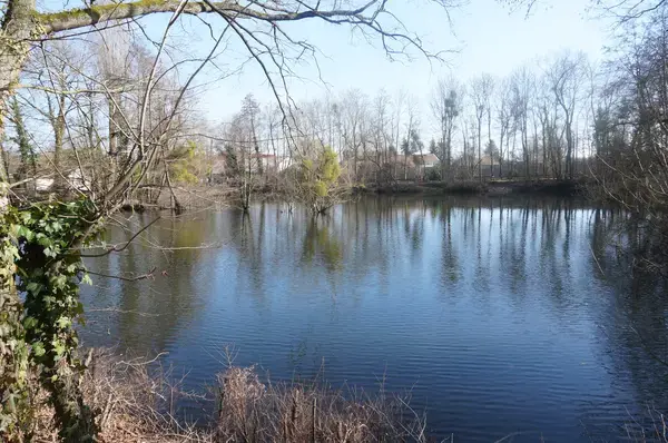 Achat Monte Escalier Monte escalier La Chapelle-Saint-Luc