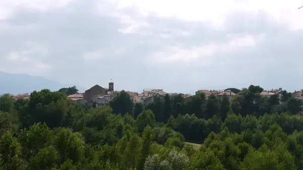 Achat Monte Escalier Monte escalier Le Boulou