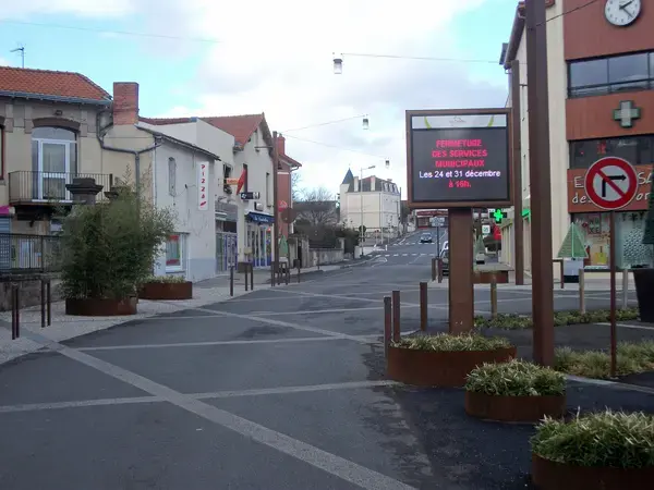 Achat Monte Escalier Monte escalier Le Cendre