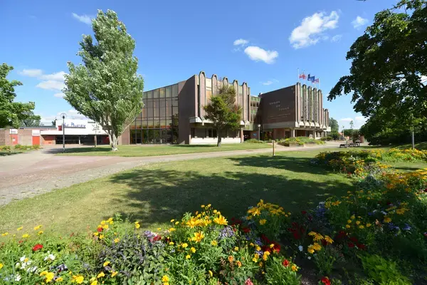 Achat Monte Escalier Monte escalier Leffrinckoucke