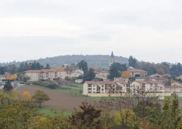 Achat Monte Escalier Monte escalier Lentilly