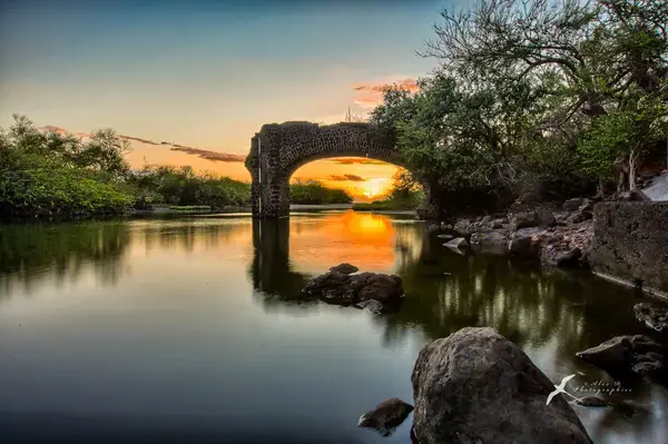 Achat Monte Escalier Monte escalier Les Trois-Bassins
