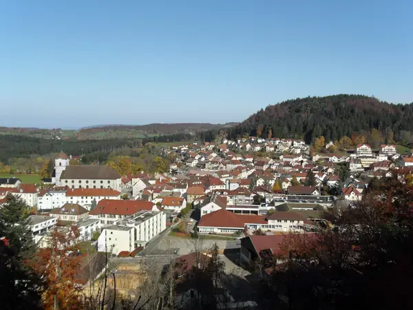 Achat Monte Escalier Monte escalier Maîche