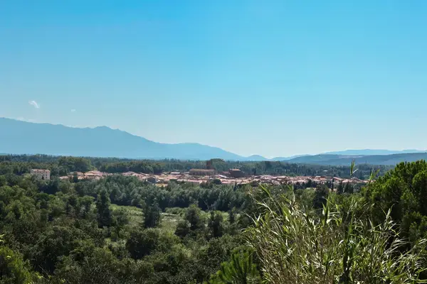 Achat Monte Escalier Monte escalier Millas