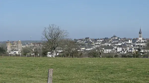 Achat Monte Escalier Monte escalier Ombrée d'Anjou