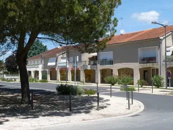 Achat Monte Escalier Monte escalier Pineuilh