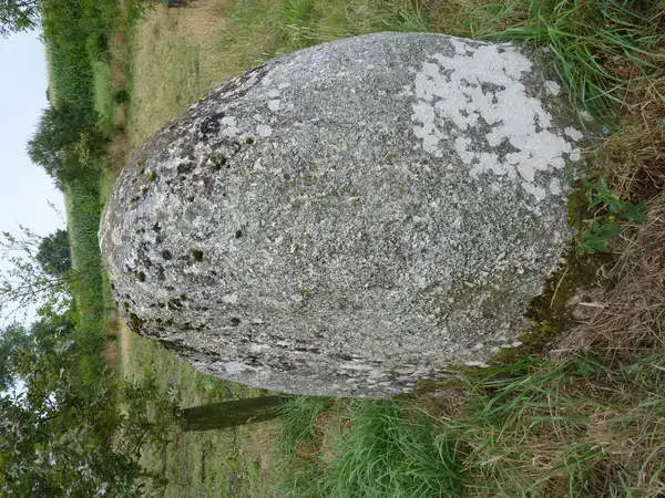 Achat Monte Escalier Monte escalier Plaintel