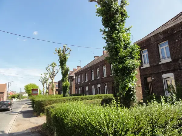 Achat Monte Escalier Monte escalier Quiévrechain