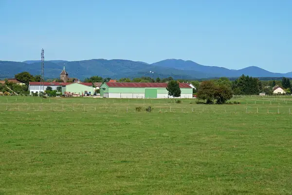 Achat Monte Escalier Monte escalier Roye