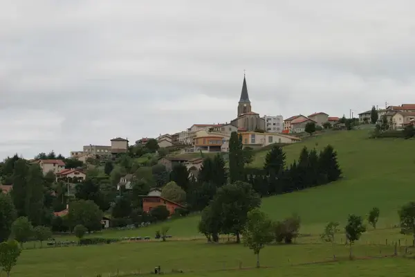 Achat Monte Escalier Monte escalier Saint-Christo-en-Jarez
