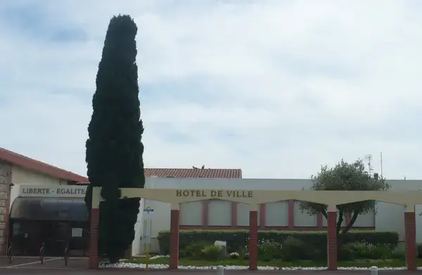 Achat Monte Escalier Monte escalier Saleilles