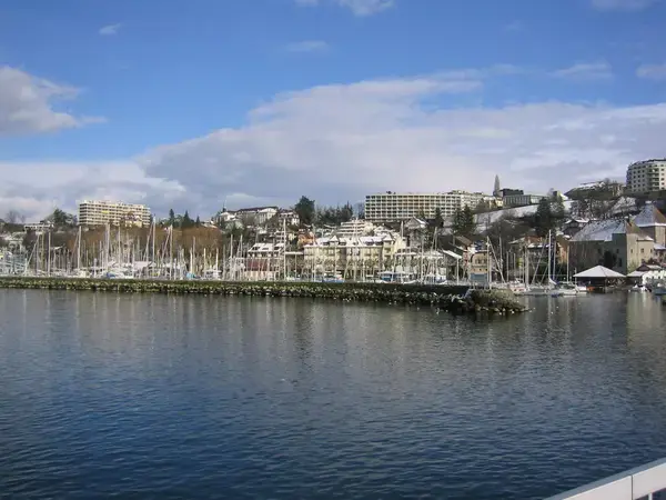 Achat Monte Escalier Monte escalier Thonon-les-Bains