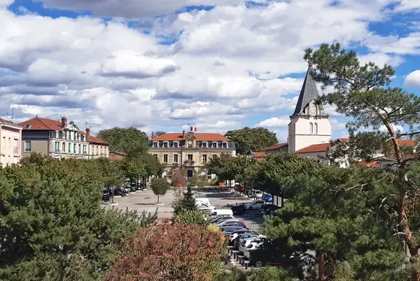 Achat Monte Escalier Monte escalier Vénissieux